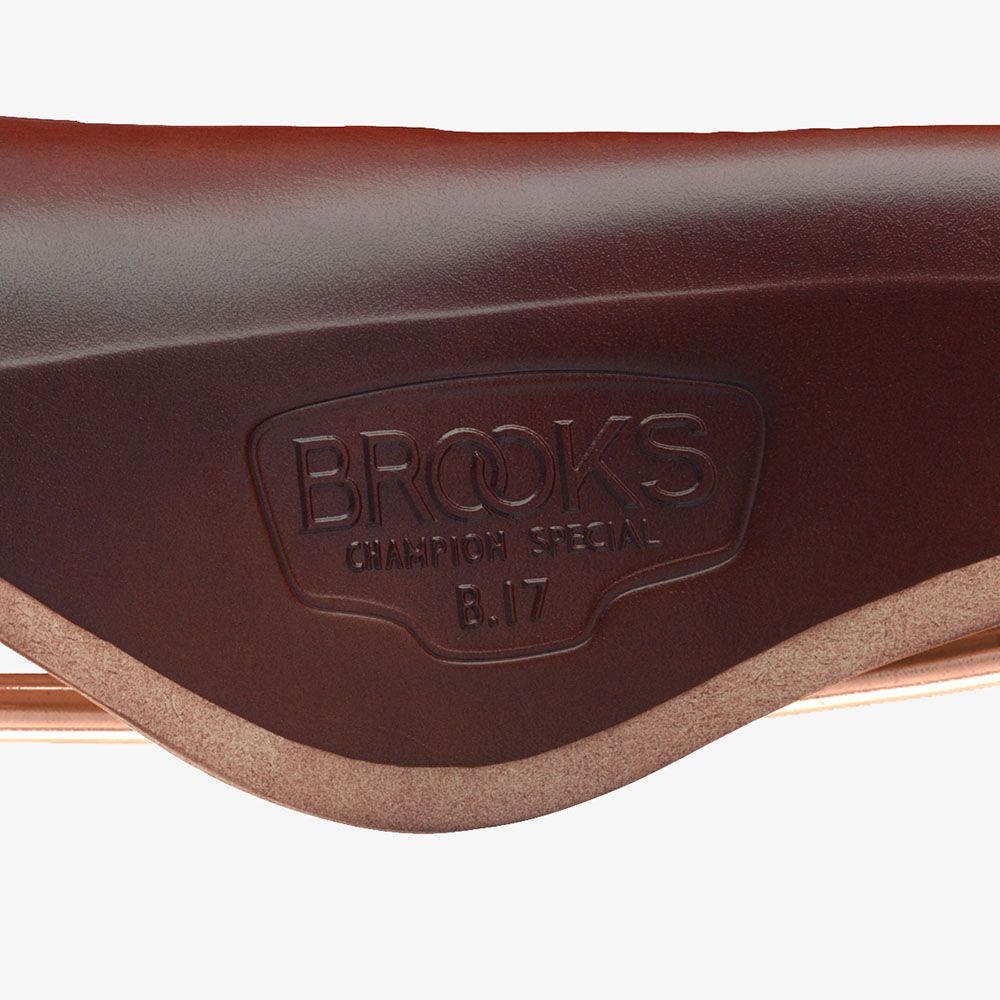 Brooks B17 Special Marrón