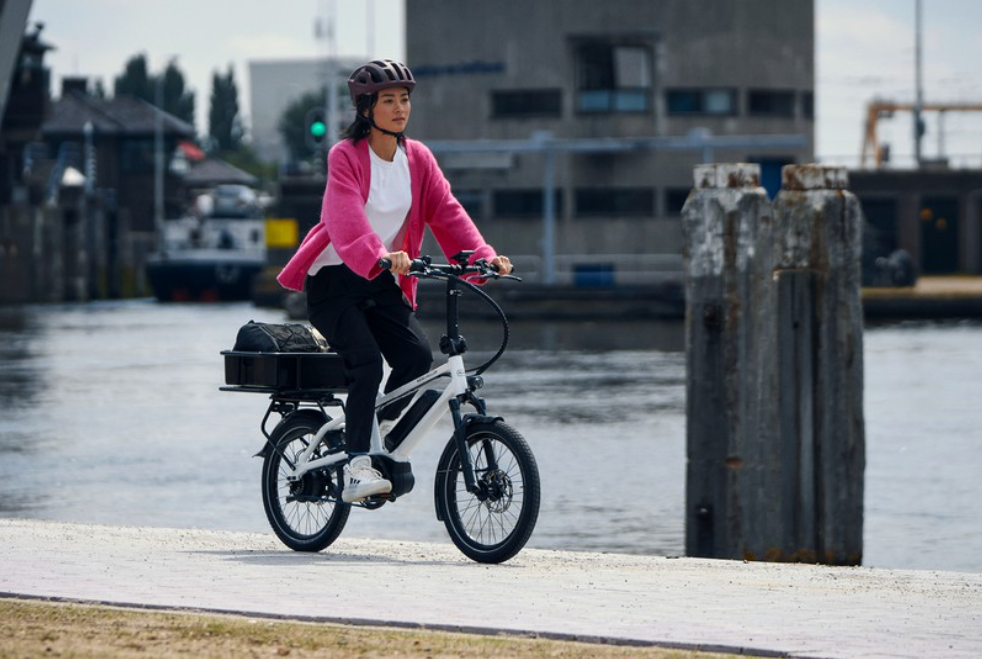 Riese &amp; Müller Tinker2 Vario Black Matt