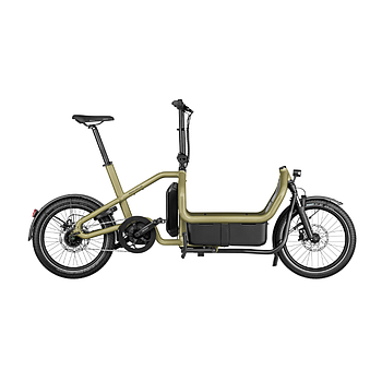 Riese & Müller Carrie City Anise